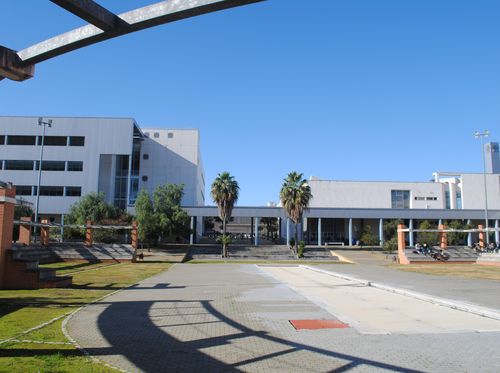 Facultad de Derecho
