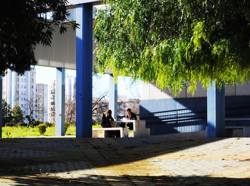Facultad de Derecho