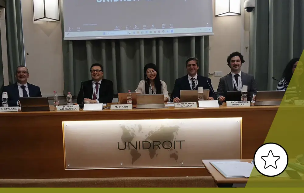 IMG Unidroit Julio 2026